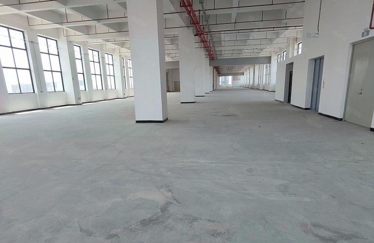 万江石美原房东新建尾盘优惠价格出租，厂房3000平方租9元起