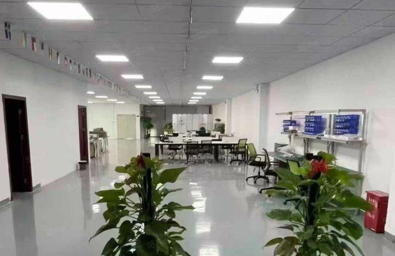 大岭山精装修小面积厂房出租带豪华装修办公室出租低价仓库出租
