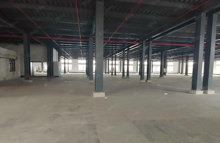 东莞东城独门独院钢结构