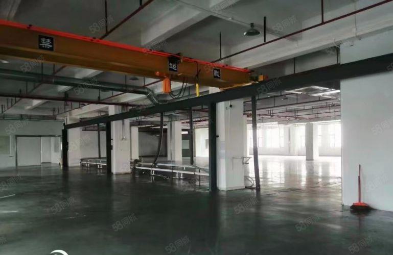常平镇原房东厂房一楼，可以架航车，有现成水电办公室配套宿舍。
