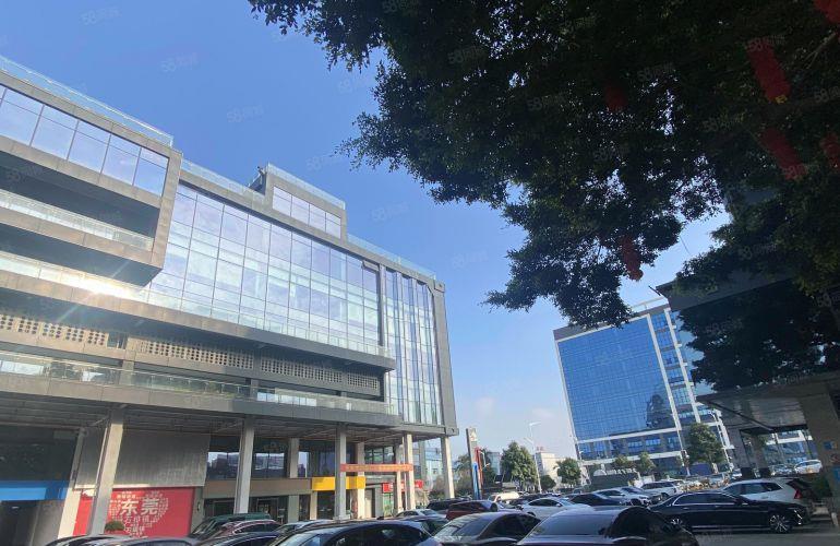 石排物业直租 仅租9块 没看错就是9块 省道旁交通便利

