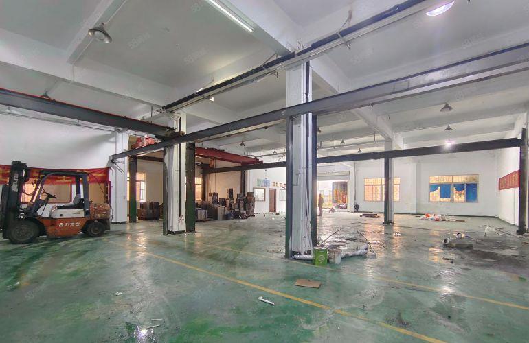 （实拍）清溪大利厂房出租大型园区200到2000平大小可分