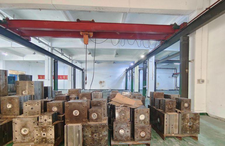 （实拍）清溪大利厂房出租大型园区200到2000平大小可分
