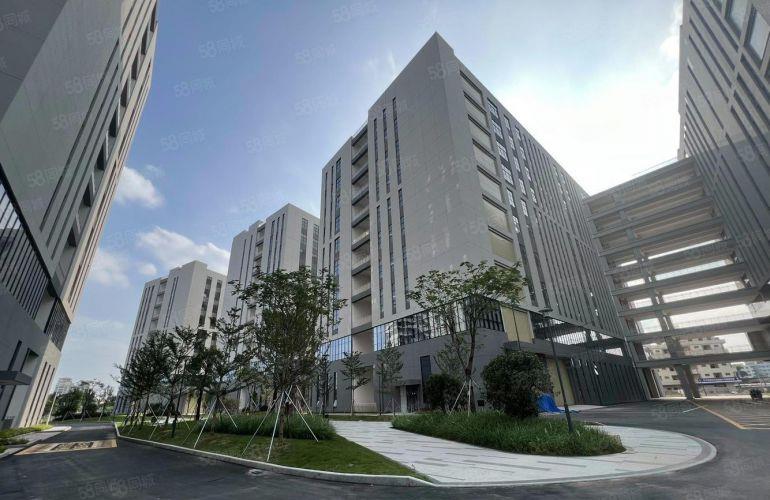 常平上市公司形象楼房260000平方，大小可分租，好招工