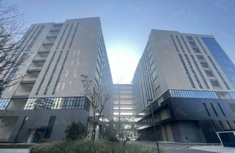 常平上市公司形象楼房260000平方，大小可分租，好招工