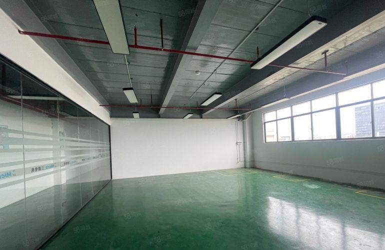 0公摊！麻涌高速口新空全新装修厂房仓库出租，形象好水电全
