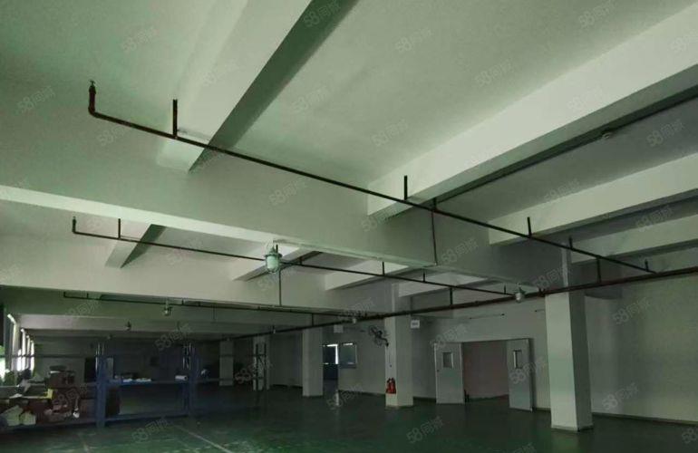可省大几十W装修费横沥二楼1300平方出租现成办公室无尘车间
