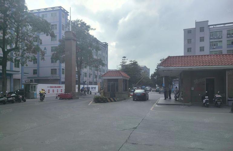 大岭工业区红本厂房出租楼上900平方可分租可办环评10元出租