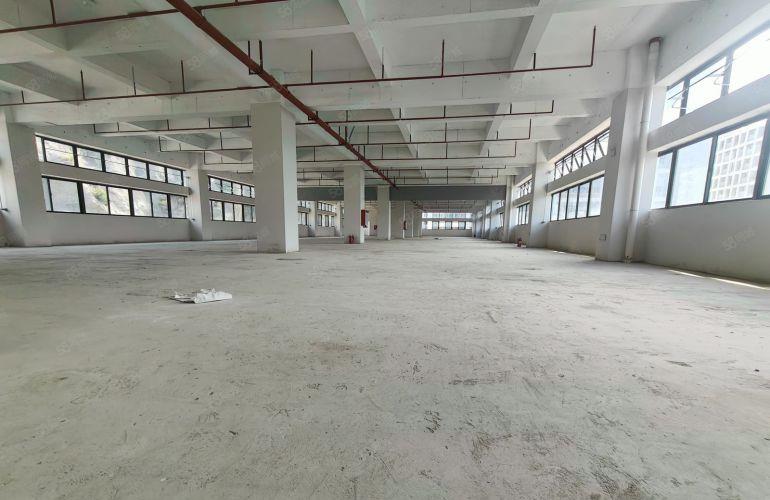 凤岗13元0公摊重工业厂房仓库2000平起出租，一楼高7米

