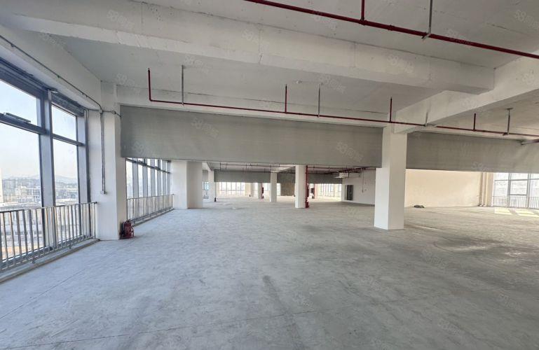 厚街全新红本标准厂房，交通便利，临近高速口12元起租。