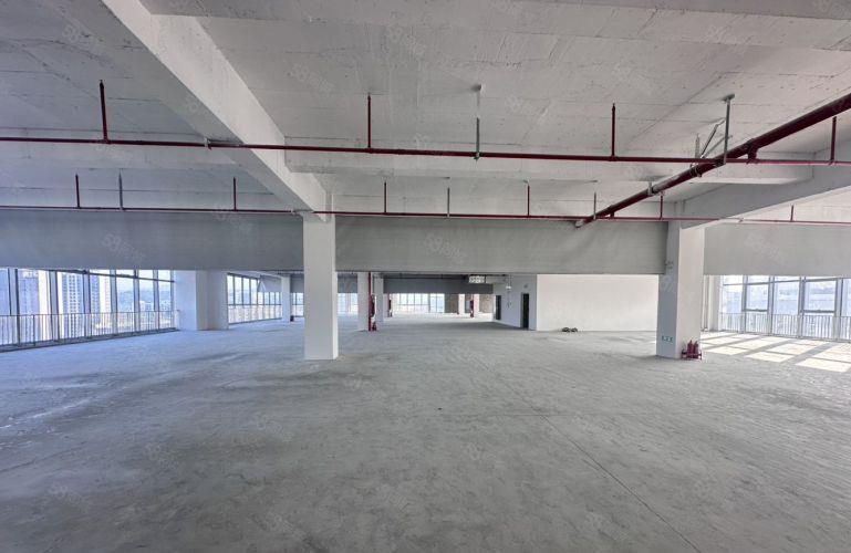 厚街全新红本标准厂房，交通便利，临近高速口12元起租。
