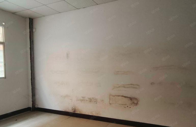 企石原房东分租一楼带装修，拎包入住小加工厂