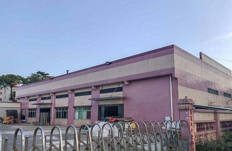 虎门靠长安新出单一层独院2600平，空地3000平，滴水7米