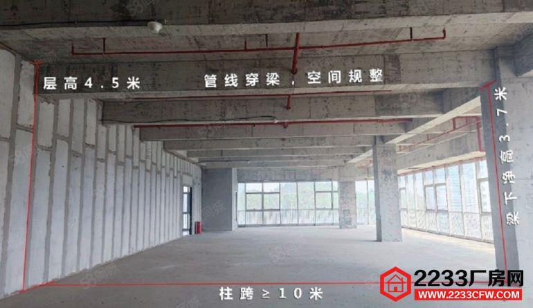 可免费定制装修 园区厂房研发办公300平至3000平