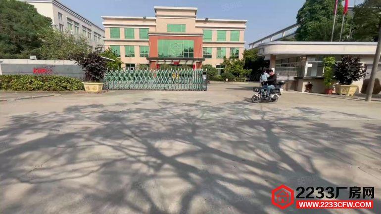 带装修小独院！一手房东大岭山杨屋独院楼房4800方带现成装修
