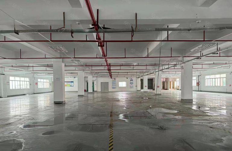 中堂l近万江独门独户标准厂房实量面积出租，证件齐全，可办环评

