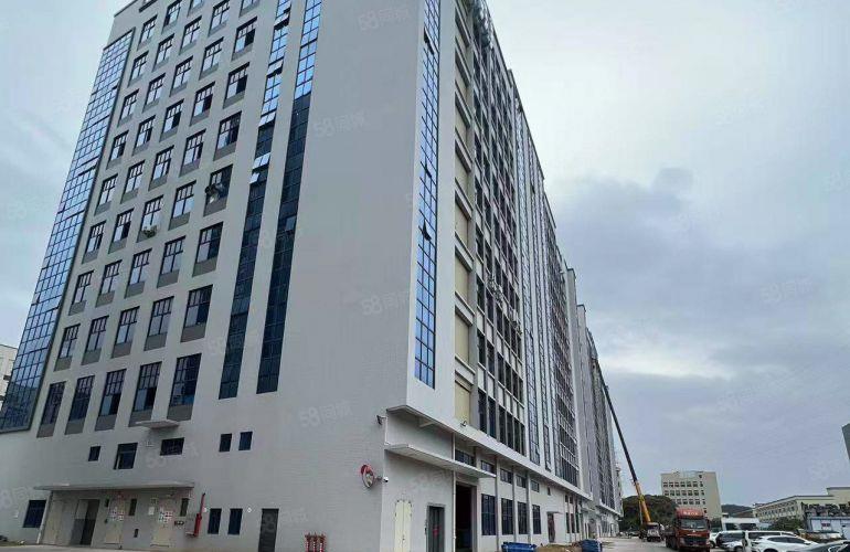 企石新出原房东 全新厂房出租 园区空地大 随时可看 仅租8块
