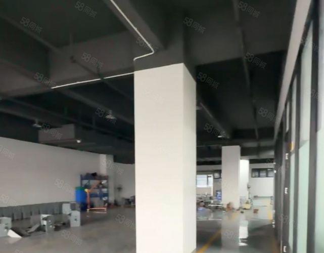 新厂房带装修）厚街楼上800方厂房仓库出租独院高端厂房
