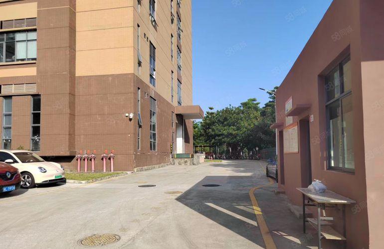 厚街原房东500平方精装厂房仓库办公室出租可分租实际面积
