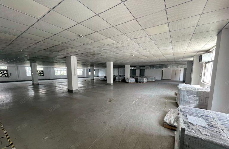 茶山卢边二楼标准厂房原房东12块招租 带4个办公室进出货方便