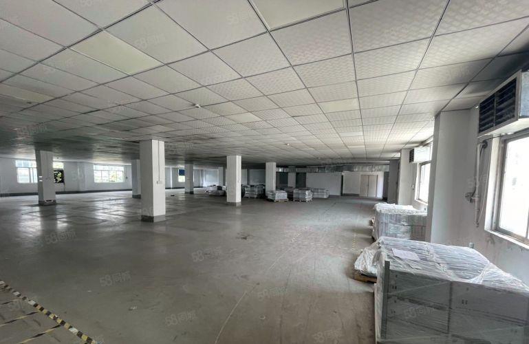 茶山卢边二楼标准厂房原房东12块招租 带4个办公室进出货方便
