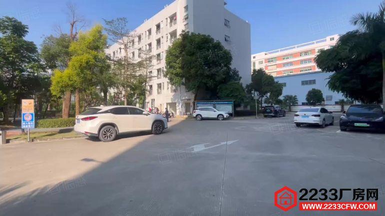 龙华大浪原房东产业园楼上1000平带装修家私办公室厂房出租

